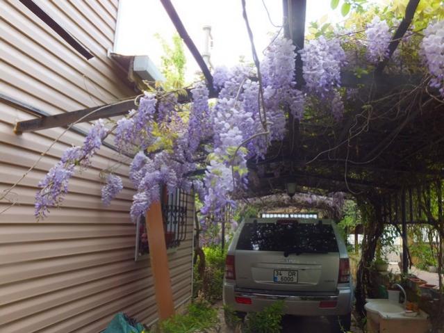Name:  DSCF5021.jpg
Views: 185
Size:  55.4 KB