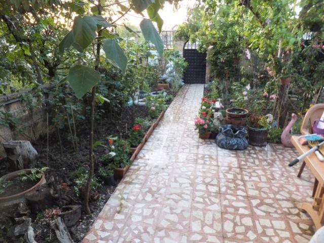 Name:  DSCF5099.jpg
Views: 262
Size:  67.1 KB