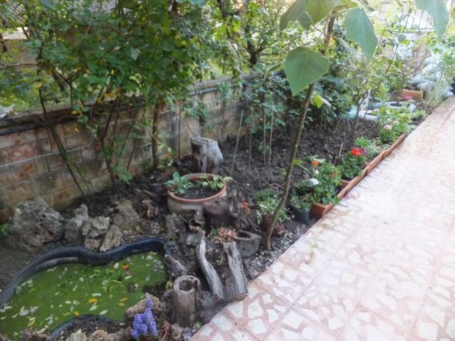 Name:  DSCF5100.jpg
Views: 265
Size:  61.2 KB