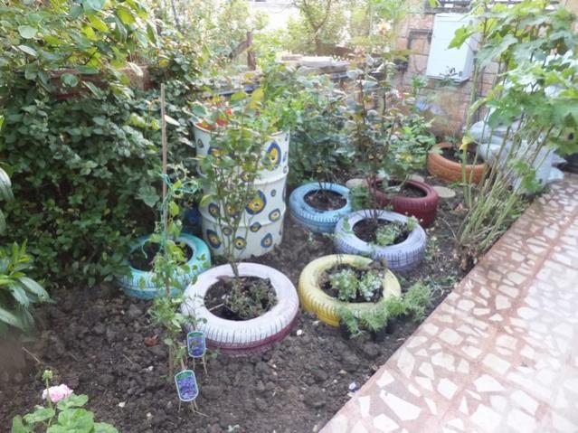 Name:  DSCF5111.jpg
Views: 269
Size:  69.9 KB