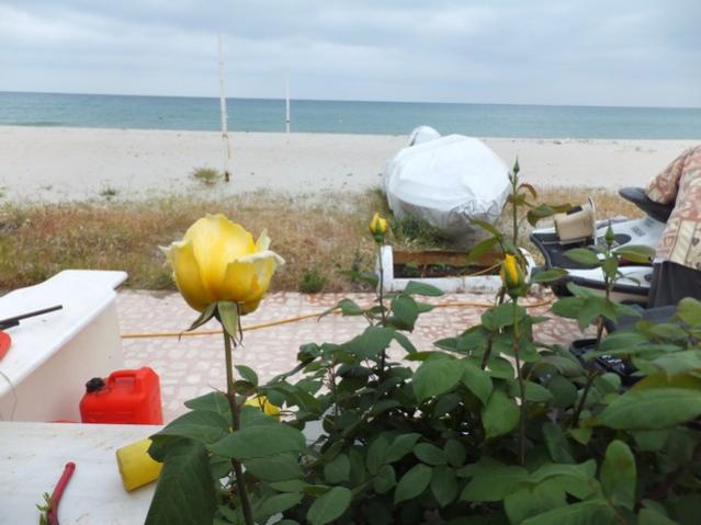Name:  DSCF5157.jpg
Views: 248
Size:  39.8 KB