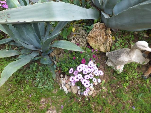 Name:  DSCF5160.jpg
Views: 268
Size:  64.7 KB