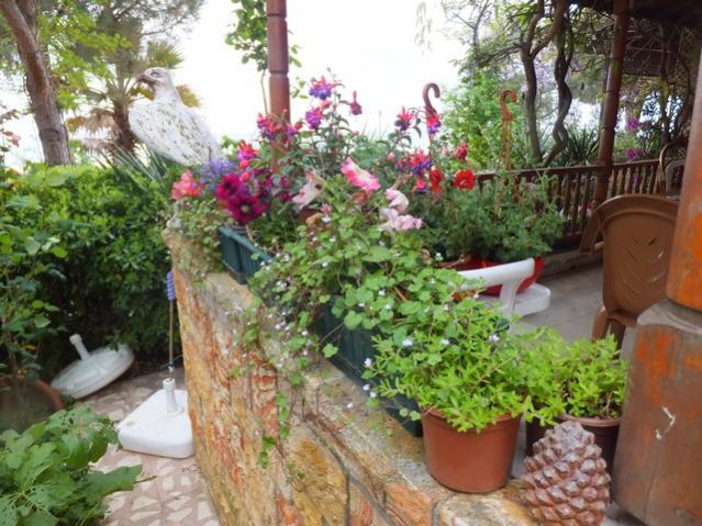 Name:  DSCF5169.jpg
Views: 251
Size:  67.4 KB