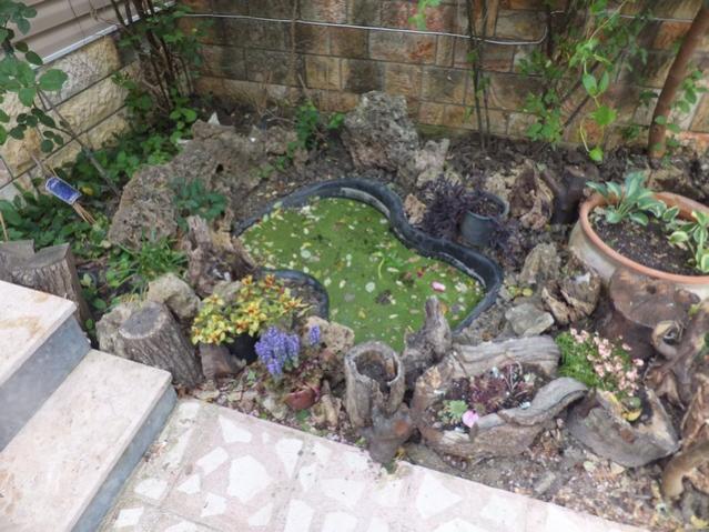Name:  DSCF5188.jpg
Views: 226
Size:  63.8 KB