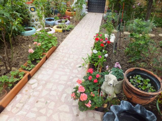 Name:  DSCF5189.jpg
Views: 232
Size:  66.6 KB