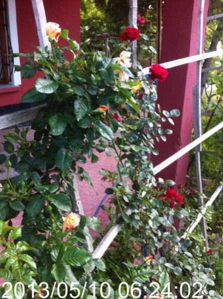 Name:  IMG_5685.jpg
Views: 520
Size:  64.2 KB