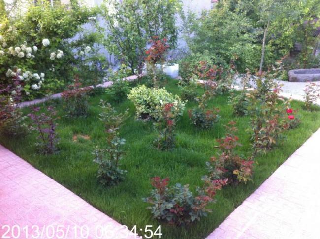 Name:  IMG_5690.jpg
Views: 507
Size:  64.6 KB