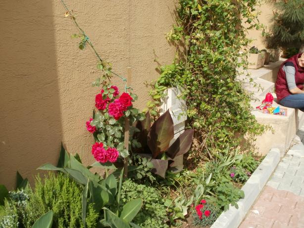 Name:  P1010076a.jpg
Views: 415
Size:  70.3 KB
