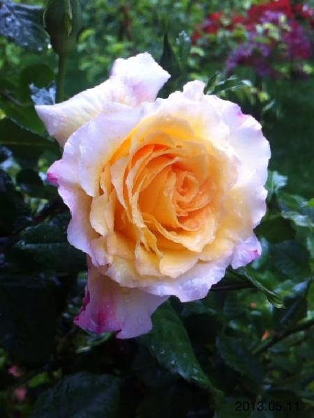 Name:  IMG_5715.jpg
Views: 499
Size:  34.2 KB