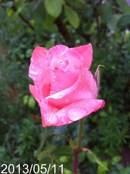 Name:  IMG_5722.jpg
Views: 524
Size:  33.2 KB