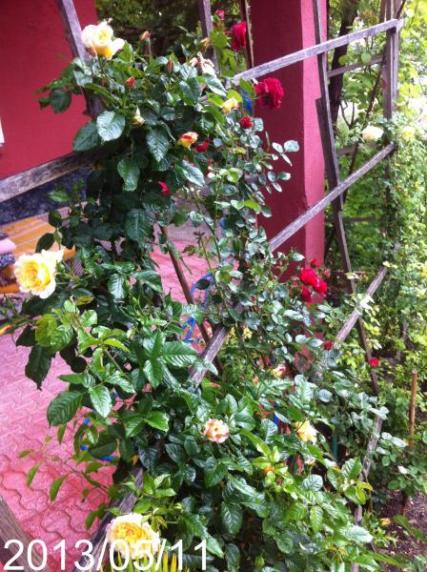 Name:  IMG_5714.jpg
Views: 489
Size:  67.4 KB