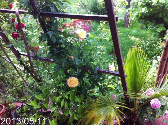 Name:  IMG_5726.jpg
Views: 492
Size:  72.9 KB