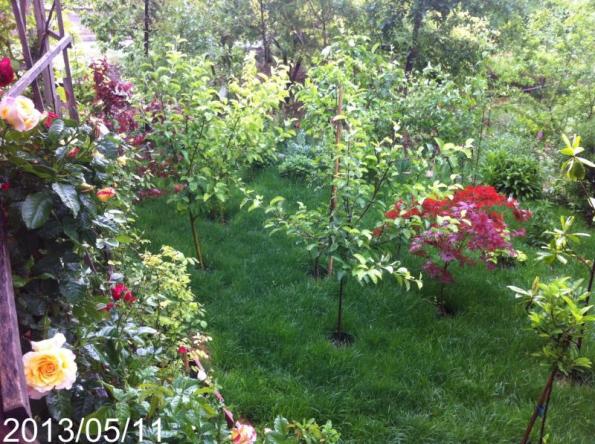 Name:  IMG_5725.jpg
Views: 468
Size:  72.2 KB