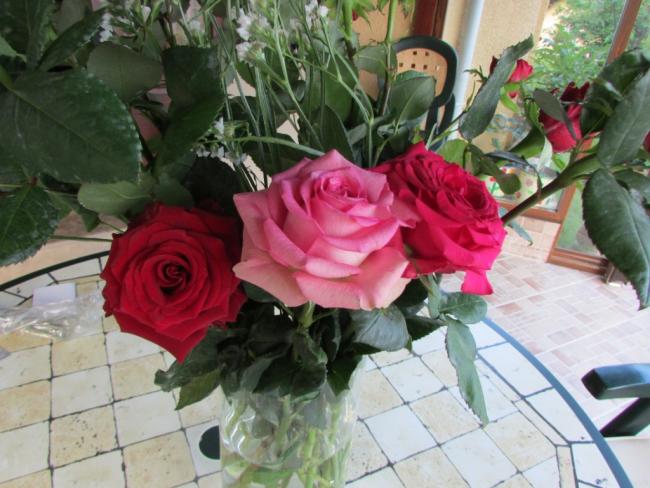 Name:  IMG_3822.jpg
Views: 597
Size:  53.1 KB