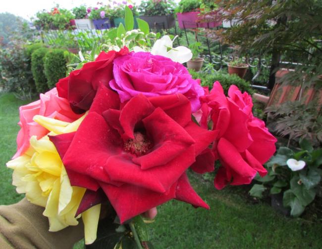 Name:  IMG_3830.jpg
Views: 585
Size:  54.8 KB