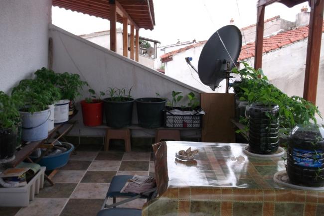 Name:  DSCF2983.jpg
Views: 908
Size:  43.5 KB