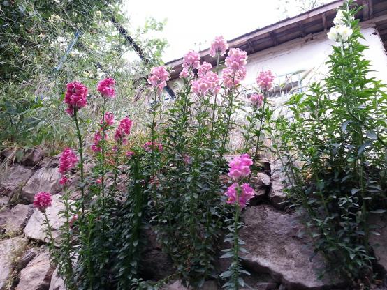 Name:  20130511_184010--.jpg
Views: 342
Size:  71.5 KB