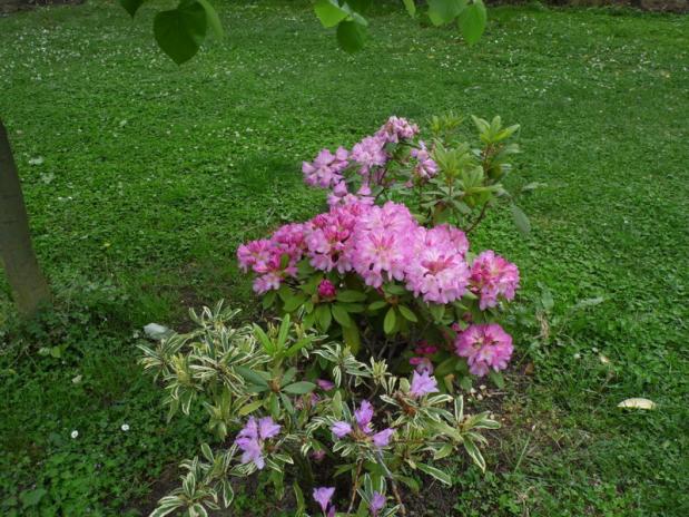 Name:  106-106.jpg
Views: 1047
Size:  70.5 KB