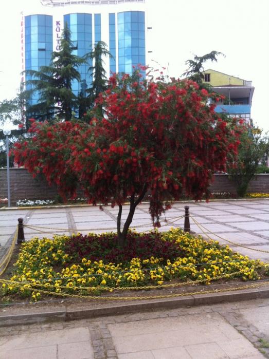 Name:  168-168.jpg
Views: 823
Size:  69.4 KB