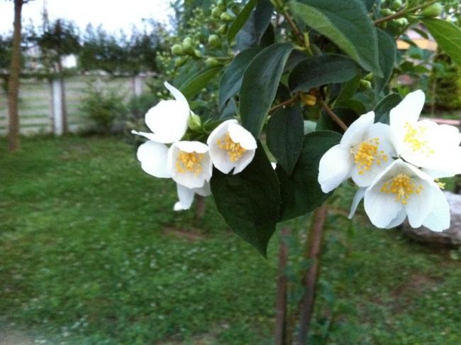 Name:  180-180.jpg
Views: 1114
Size:  46.5 KB