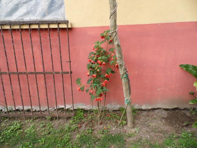 Name:  094-095.jpg
Views: 773
Size:  51.8 KB