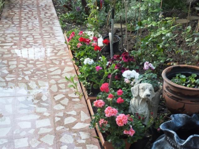 Name:  DSCF5248.jpg
Views: 348
Size:  66.6 KB