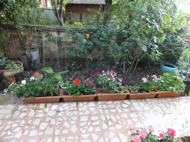 Name:  DSCF5251.jpg
Views: 344
Size:  65.7 KB