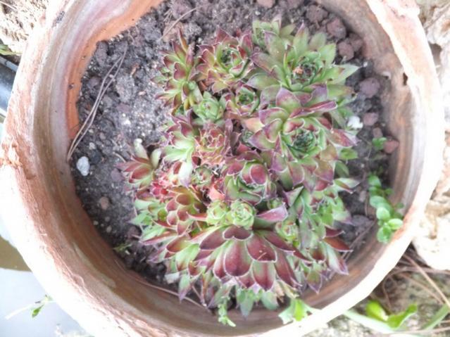 Name:  DSCF5321.jpg
Views: 437
Size:  57.7 KB