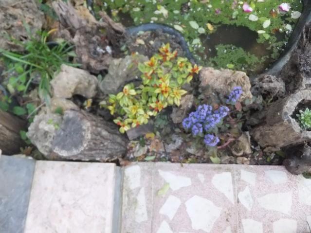 Name:  DSCF5343.jpg
Views: 425
Size:  48.4 KB