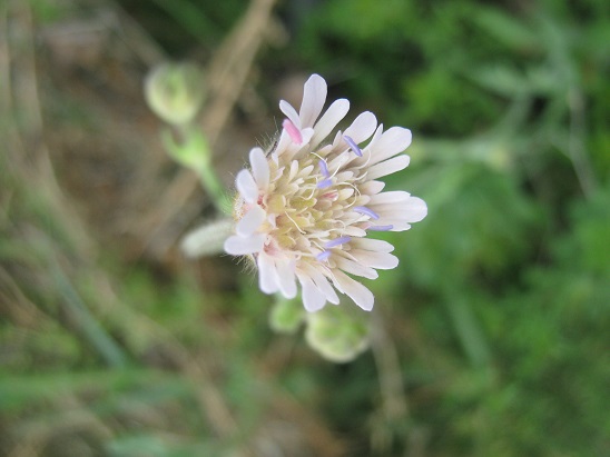 Name:  kr .1.jpg
Views: 1244
Size:  66.4 KB