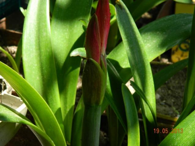 Name:  Resim 018.jpg
Views: 701
Size:  38.7 KB