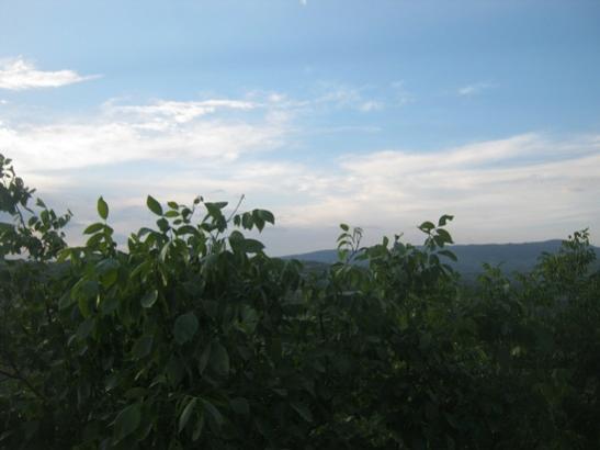 Name:  1-----.jpg
Views: 1455
Size:  22.4 KB