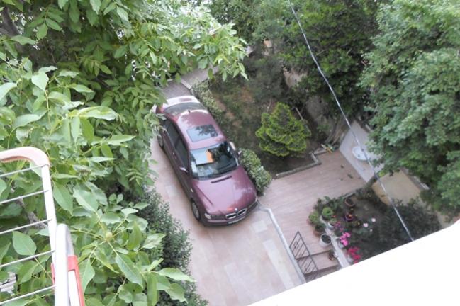 Name:  SAM_0075_Edited.jpg
Views: 1372
Size:  57.0 KB
