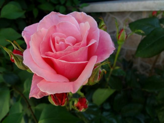 Name:  g.9.jpg
Views: 761
Size:  31.2 KB