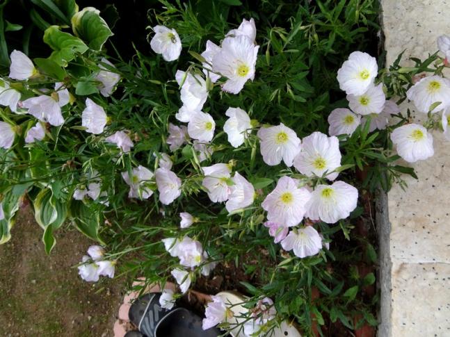 Name:  gecemumu.jpg
Views: 784
Size:  70.1 KB