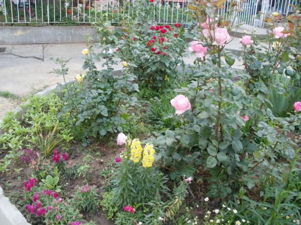 Name:  P1010095a.jpg
Views: 398
Size:  72.1 KB