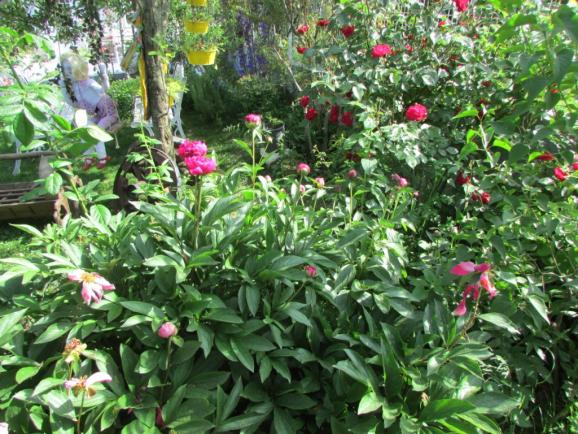 Name:  IMG_4713.jpg
Views: 550
Size:  74.0 KB
