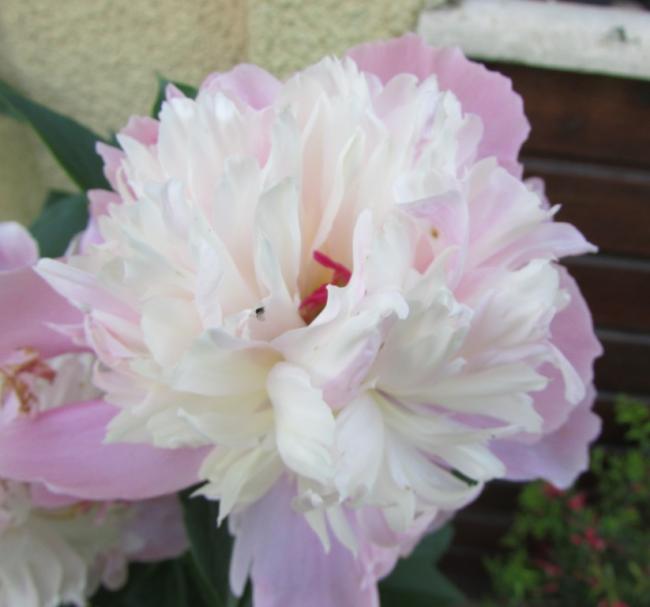 Name:  IMG_4385.jpg
Views: 519
Size:  30.4 KB