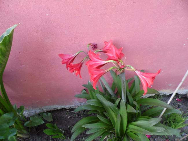 Name:  390-383.jpg
Views: 487
Size:  38.7 KB