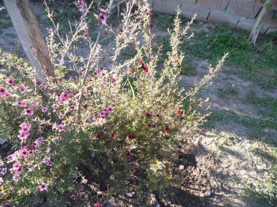 Name:  290-292.jpg
Views: 539
Size:  73.1 KB