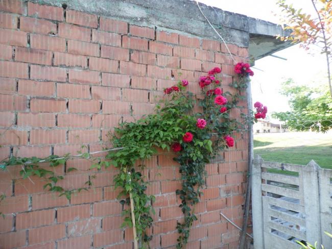 Name:  293-295.jpg
Views: 499
Size:  56.1 KB