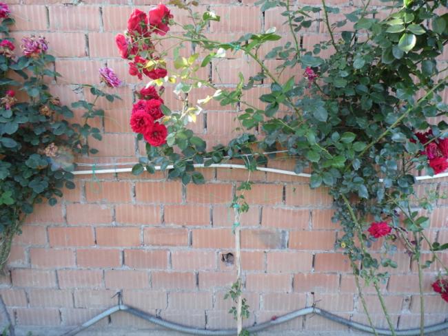 Name:  288-290.jpg
Views: 505
Size:  60.7 KB