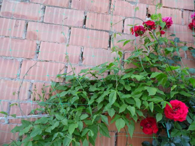 Name:  296-298.jpg
Views: 504
Size:  61.4 KB