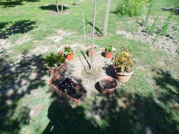 Name:  123-123.jpg
Views: 643
Size:  70.1 KB