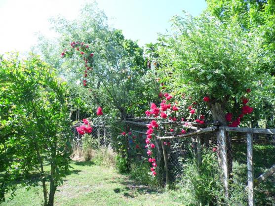 Name:  125-125.jpg
Views: 950
Size:  72.7 KB