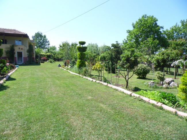 Name:  095-095.jpg
Views: 907
Size:  66.6 KB
