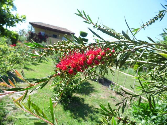 Name:  089-089.jpg
Views: 851
Size:  70.6 KB