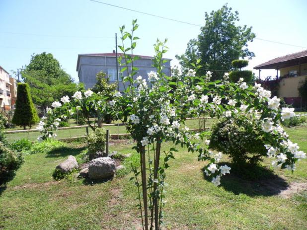 Name:  025-025.jpg
Views: 866
Size:  70.7 KB