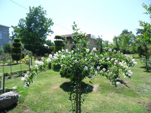 Name:  024-024.jpg
Views: 845
Size:  70.2 KB