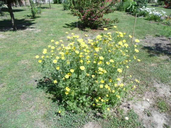 Name:  011-011.jpg
Views: 845
Size:  71.9 KB